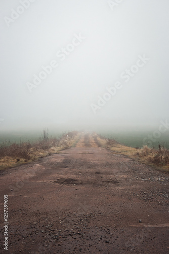 Empty dirty road in the fog. Bad weather in countryside. Road on foggy day in perspective with copy space. Ghostly misty trail. Spleen concept. Moody weather. Foggy landscape. Beauty in nature.