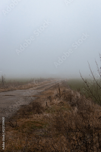 Empty dirty road in the fog. Bad weather in countryside. Road on foggy day in perspective with copy space. Ghostly misty trail. Spleen concept. Moody weather. Foggy landscape. Beauty in nature.