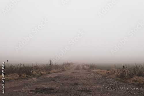 Obraz na płótnie Empty dirty road in the fog. Bad weather in countryside. Road on foggy day in perspective with copy space. Ghostly misty trail. Spleen concept. Moody weather. Foggy landscape. Beauty in nature. w salonie