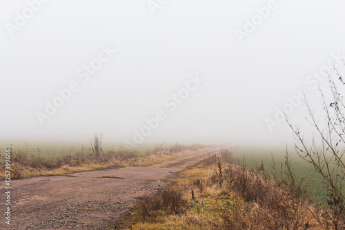 Obraz na płótnie Empty dirty road in the fog. Bad weather in countryside. Road on foggy day in perspective with copy space. Ghostly misty trail. Spleen concept. Moody weather. Foggy landscape. Beauty in nature. w salonie