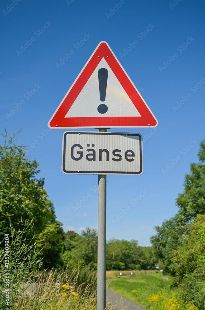 Warnschild, Achtung Gänse, Rheinuferweg bei Osterspai, Rheinland-Pfalz, Deutschland Warnschild, Achtung Gänse, Rheinuferweg bei Osterspai, Rheinland-Pfalz, Deutschland