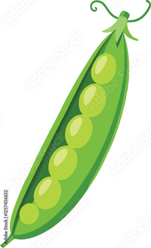 Peas vector art with a white background. Pod of green peas on white background illustration
