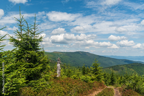 Fototapeta Naklejka Na Ścianę i Meble -  Skrzyczne hill and Beskid Maly mountains from hiking trail bellow Zielony Kopiec hill summit in Beskid Slaski mountains in Poland