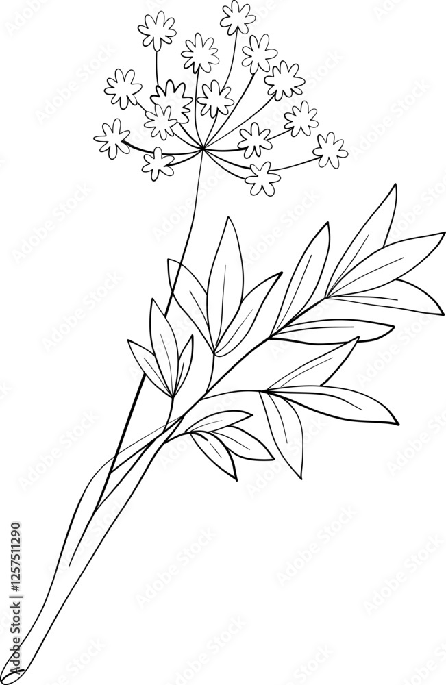 Obraz premium tiny wild flowers and plants line art botanical illustrations. Trendy greenery hand draw lines black ink sketches. vector illustration