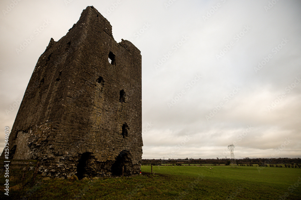 ruins of the castle ruins of the castle