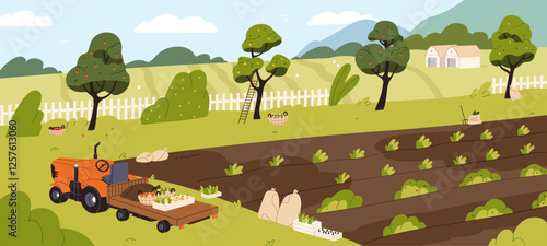 Rural landscape with empty farmer field. Countryside scene with gathering harvest in garden, plantation. Scenery of agriculture, work at farm, picking crop with tractor. Flat vector illustration