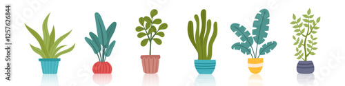 Set of potted houseplants isolated on white. Concept of indoor greenery, home decor, nature, botanical design, ecology, care, growth and sustainability. Vector hand drawn cliparts.