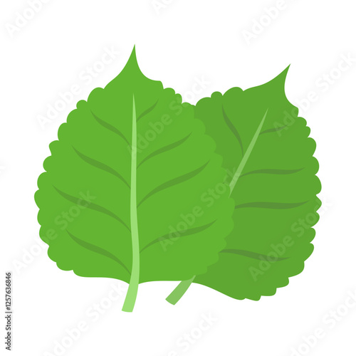 エゴマの葉。フラットなベクターイラスト。
Perilla frutescens leaves. Flat vector illustration.