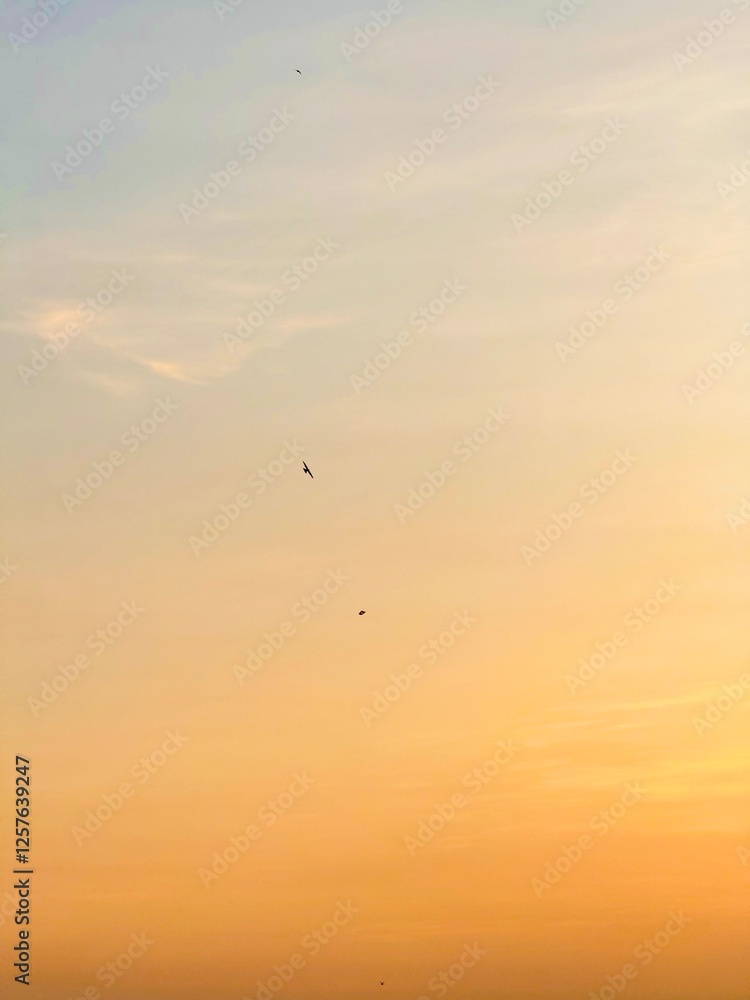 Golden Sky at Dusk with Birds in Flight – Tranquil Sunset Golden Sky at Dusk with Birds in Flight – Tranquil Sunset
