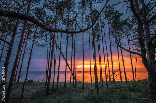 Obraz na płótnie Colorful sunset over the Baltic sea. Dramatic storm clouds in vivid sunset colors. Sandy coast line with pine forest w salonie