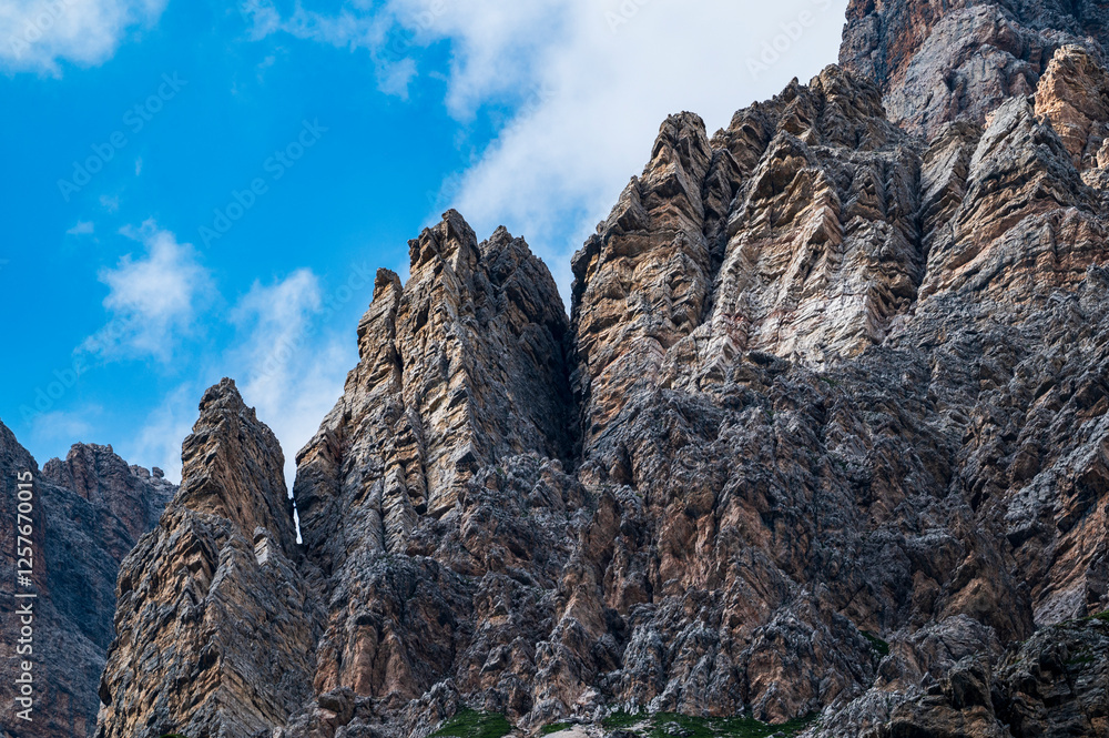 Environment, vegetation and nature of the Ampezzo Dolomites, dominated by Mount Cristallo. Environment, vegetation and nature of the Ampezzo Dolomites, dominated by Mount Cristallo.