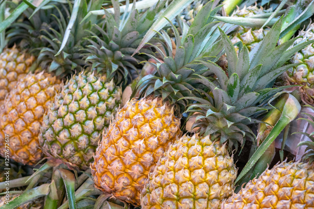 A bunch of pineapples are displayed in a store A bunch of pineapples are displayed in a store