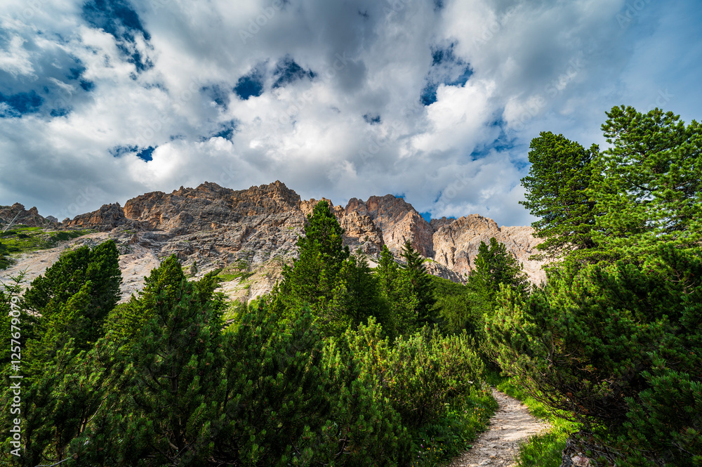 Fototapeta premium Environment, vegetation and nature of the Ampezzo Dolomites, dominated by Mount Cristallo.