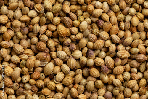 Coriander seeds  background texture.