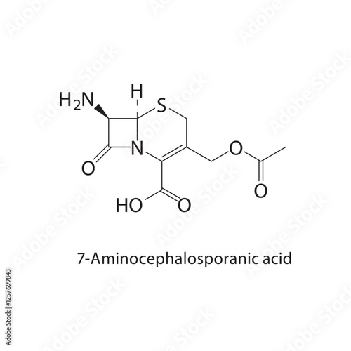 7-Aminocephalosporanic acid skeletal structure.Beta-lactam compound schematic illustration. Simple diagram, chemical structure.