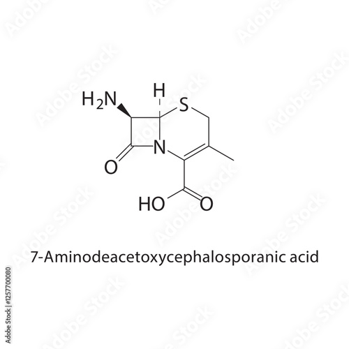 7-Aminodeacetoxycephalosporanic acid skeletal structure.Beta-lactam compound schematic illustration. Simple diagram, chemical structure. photo