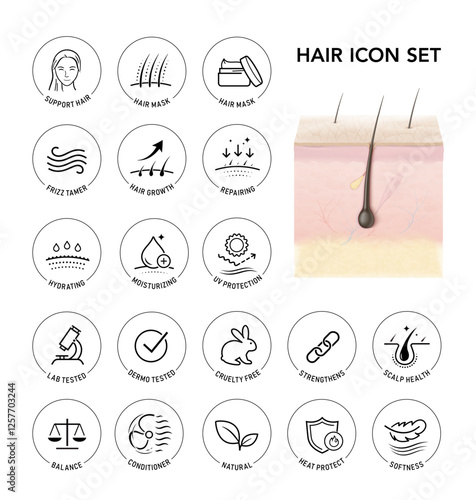 Highly realistic multiple layers skin with hair mockup and set icons . Vector illustration isolated on white background. The outline icons are well scalable and editable. EPS10.
