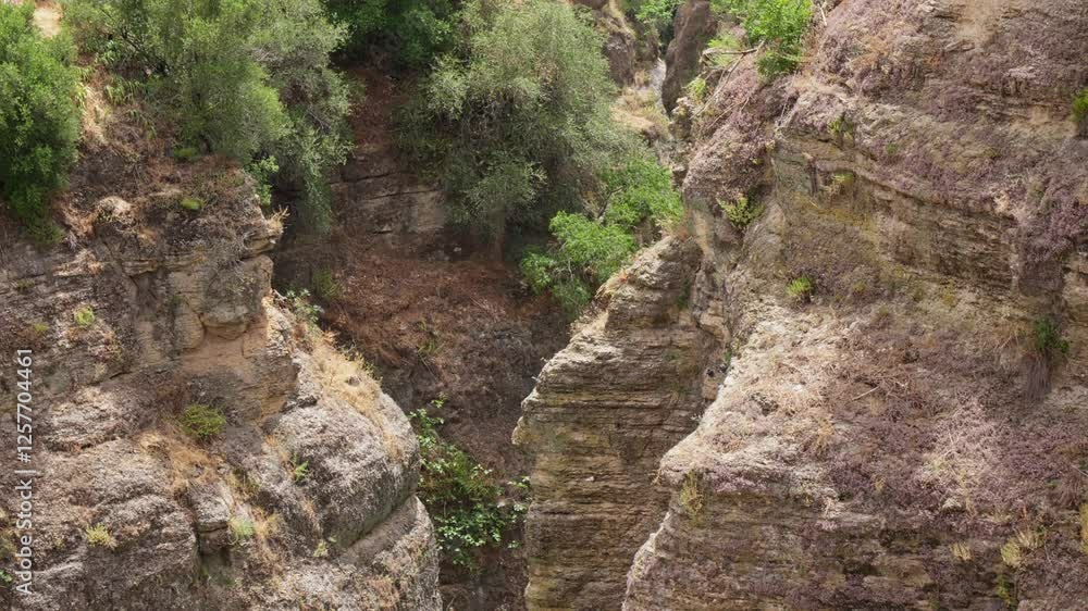 Majestic canyon landscape with lush greenery in view Majestic canyon landscape with lush greenery in view