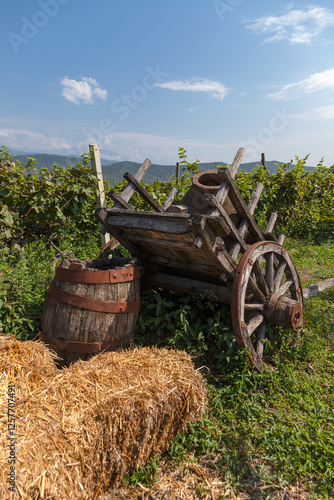 An old wooden cart and a wine barrel on the background of a vineyard