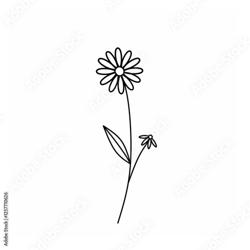 vector dandelion flower hand drawn flowers flower isolated on white background vector illustration of a flower abstract flower background vector floral background