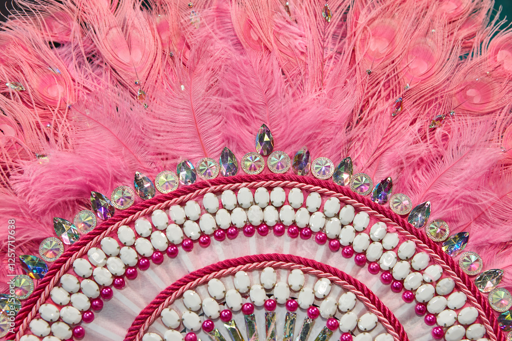 Handcrafted fan detail made with pink feathers and jewelry. Carnival