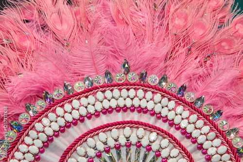 Obraz na płótnie Handcrafted fan detail made with pink feathers and jewelry. Carnival w salonie
