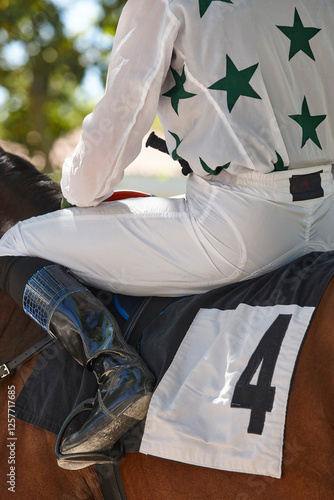 Obraz na płótnie Race horse and jockey detail Purebred in the hippodrome. Turf w salonie