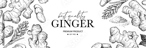 Ginger root vector label. Root, ginger pieces, powder and flower vector drawing. Engraved style illustration. 