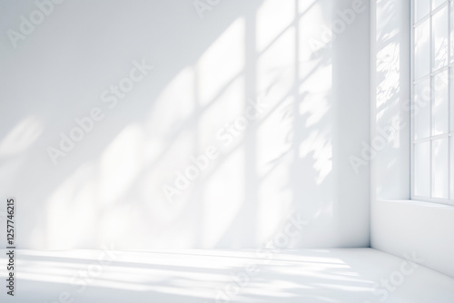 Sunlight light and shadow of window frame and tree leaves on white wall