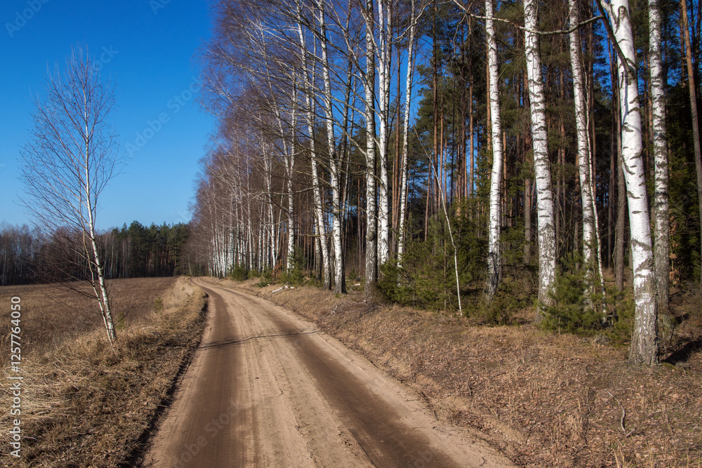 Łagodna i sucha zima w Puszczy Knyszyńskiej, Podlasie, Polska