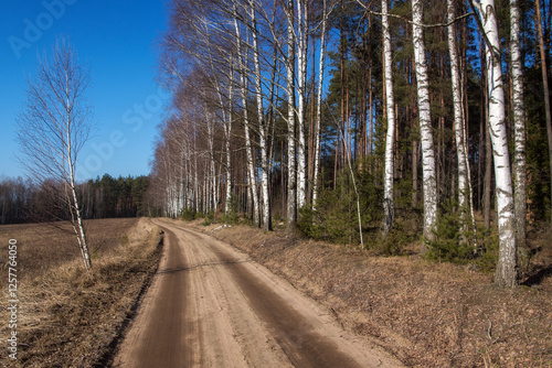 Obraz na płótnie Łagodna i sucha zima w Puszczy Knyszyńskiej, Podlasie, Polska w salonie