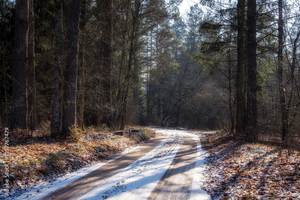 Łagodna i sucha zima w Puszczy Knyszyńskiej, Podlasie, Polska