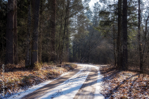 Obraz na płótnie Łagodna i sucha zima w Puszczy Knyszyńskiej, Podlasie, Polska w salonie