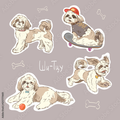 Set of shih tzu dogs sticker isolated vector art illustration