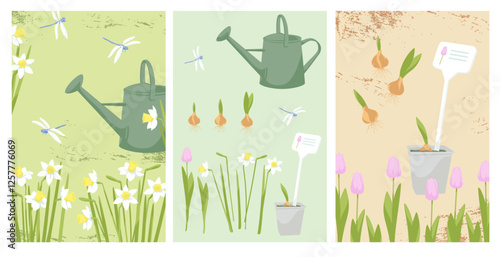 Gardening poster templates. Watering can blooming daffodils and tulips, bulbs. Set Elements for background, brochure covers, marketing materials, postcards