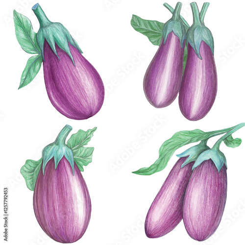 Eggplant watercolor set hand drawn