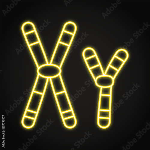 X and Y chromosomes neon icon