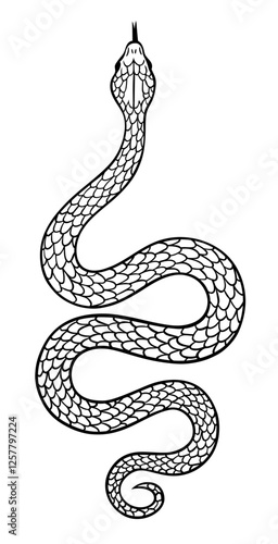 Ausmalbild mit Schlange - Jahr der Schlange Design. Tattoo Outlines.