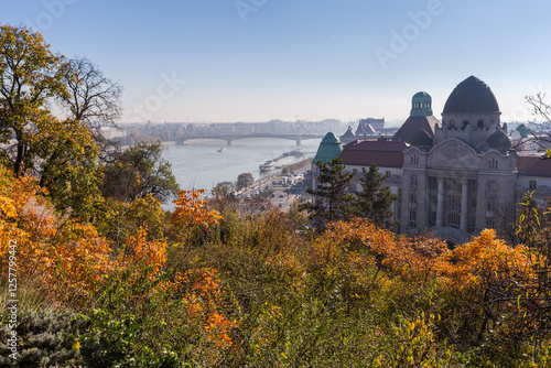 Photography River Danube from Gellert Hill above tree branches in Budapest