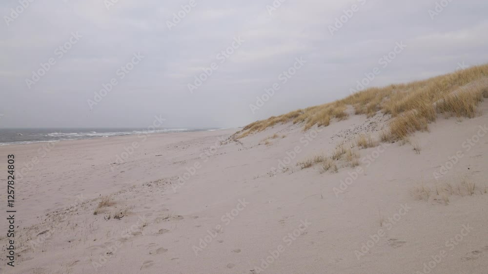 Dünenlandschaft an der Nordsee auf Sylt Dünenlandschaft an der Nordsee auf Sylt