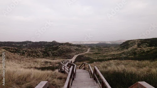 Dünenlandschaft an der Nordsee auf Sylt