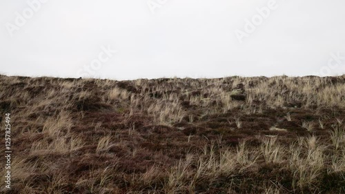 Dünenlandschaft an der Nordsee auf Sylt