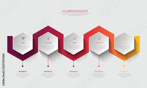5s methodology banner design for workplace organization, 6s methodology infographic vector illustration.	