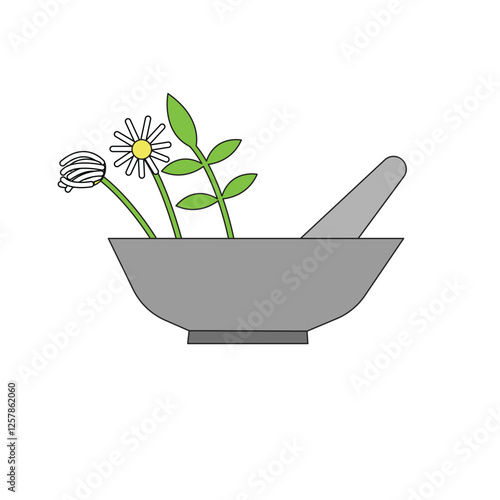 Healing medicinal plants used in natural remedies