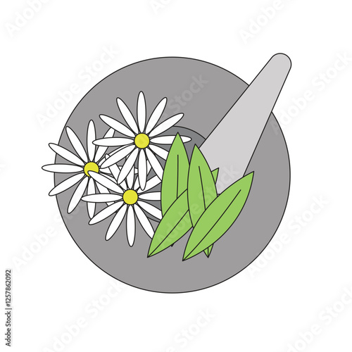 Healing medicinal plants used in natural remedies