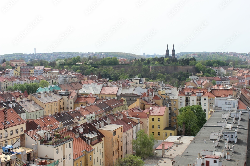 Fototapeta premium Prague rooftops and Vysehrad Cathedral view.