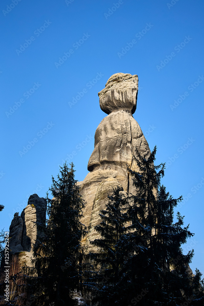 Fototapeta premium Z widokiem na góry