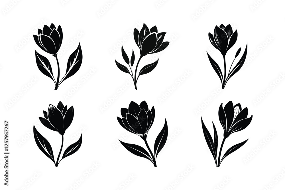 Crocus (Crocus spp.) silhouette vector illustration Crocus (Crocus spp.) silhouette vector illustration