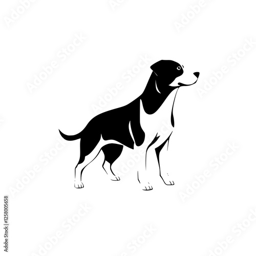 Black and White Dog looking left