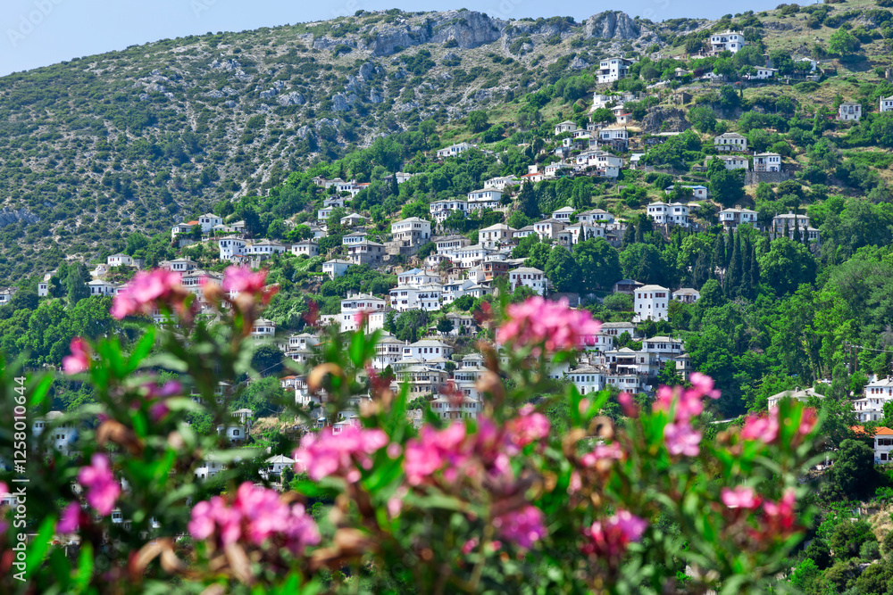 Makrinitsa village, panoramic view of this beautiful, traditional village at Mount Pelio, in central Greece, Europe. It's a famous travel destination